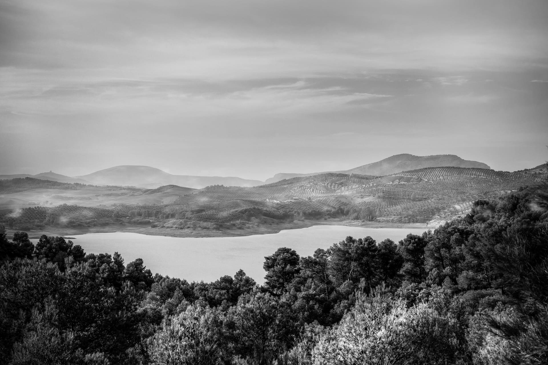 [:pt]dramatic-black-white-landscape-with-trees (1)[:]